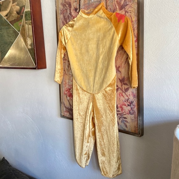 🚫SOLD🚫 DISNEY THE LION KING SIMBA COSTUME LION COSTUME 3 PIECE COSTUME SET KIDS - Picture 15 of 17
